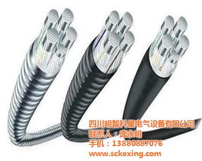 聚焦四川自貢合金電纜 科星電器以高品質(zhì)為市場(chǎng)護(hù)航